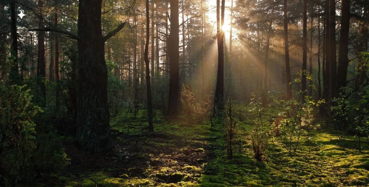 The Cringe Cost of Business