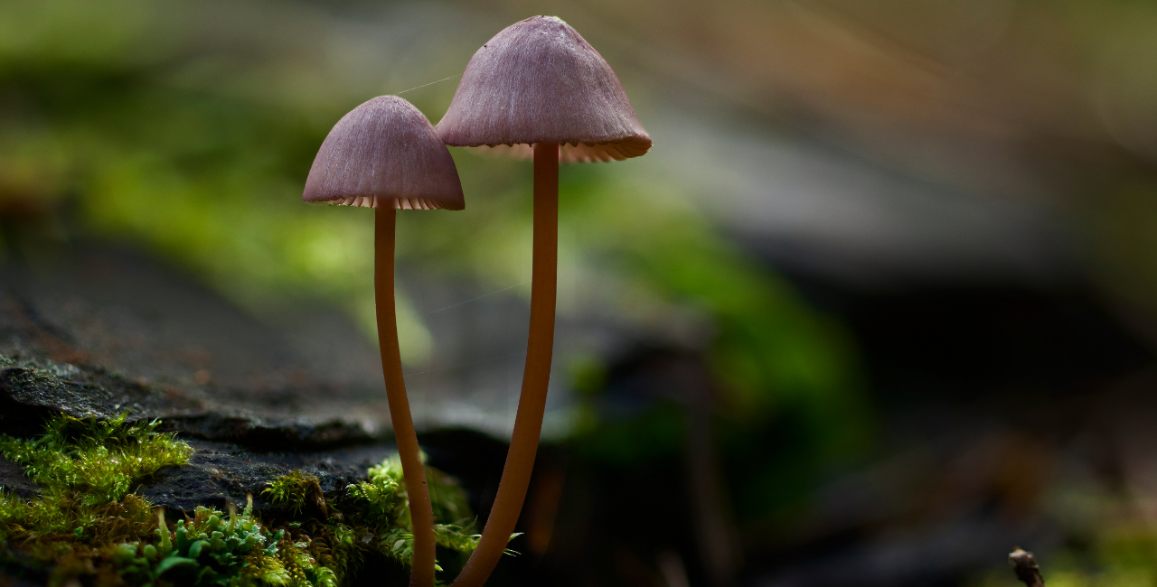 Beyond Traditional Recovery