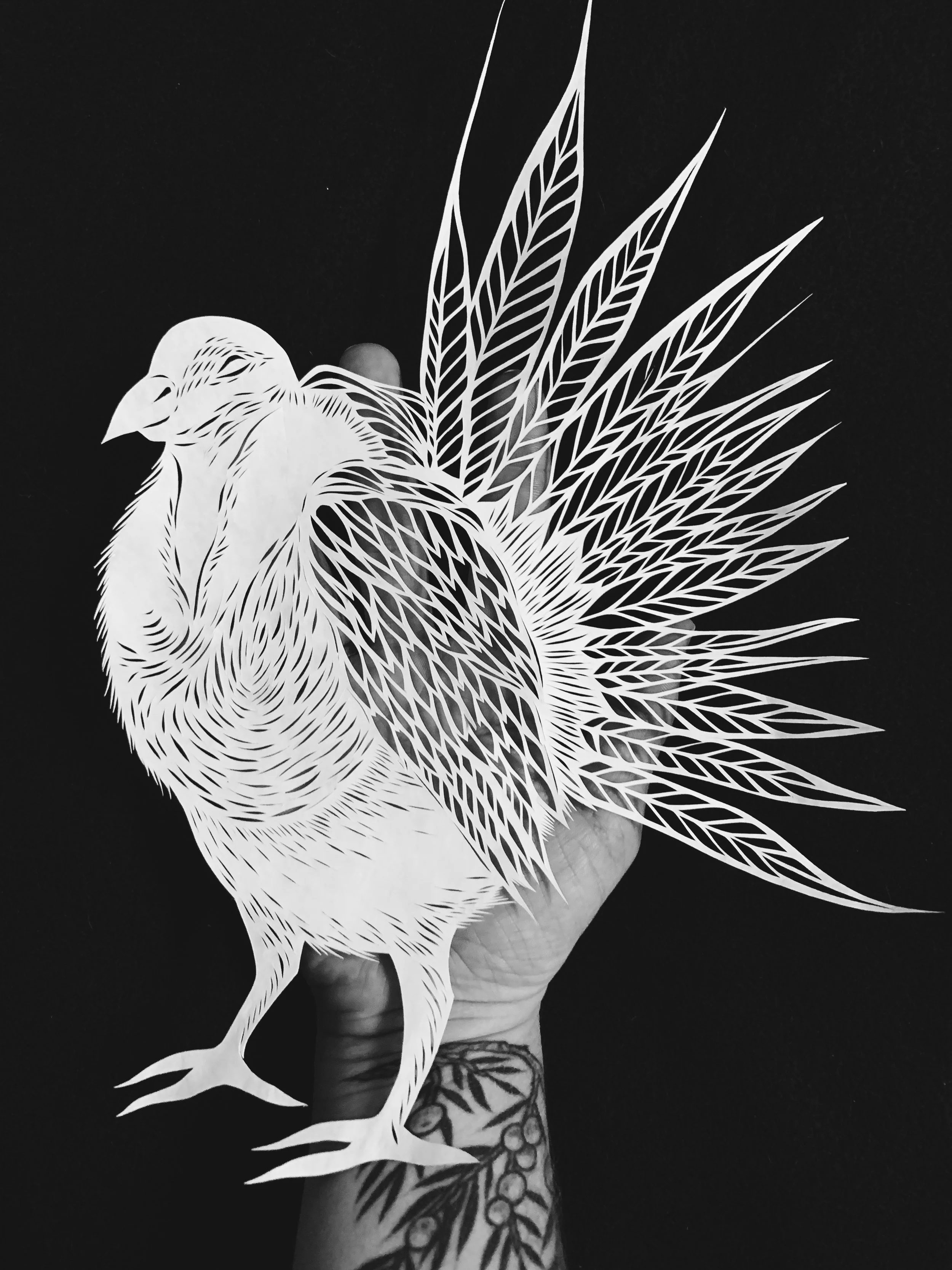 1FDAC01A-355C-43D1-A8DD-07BB97A9F8BA (1).jpg