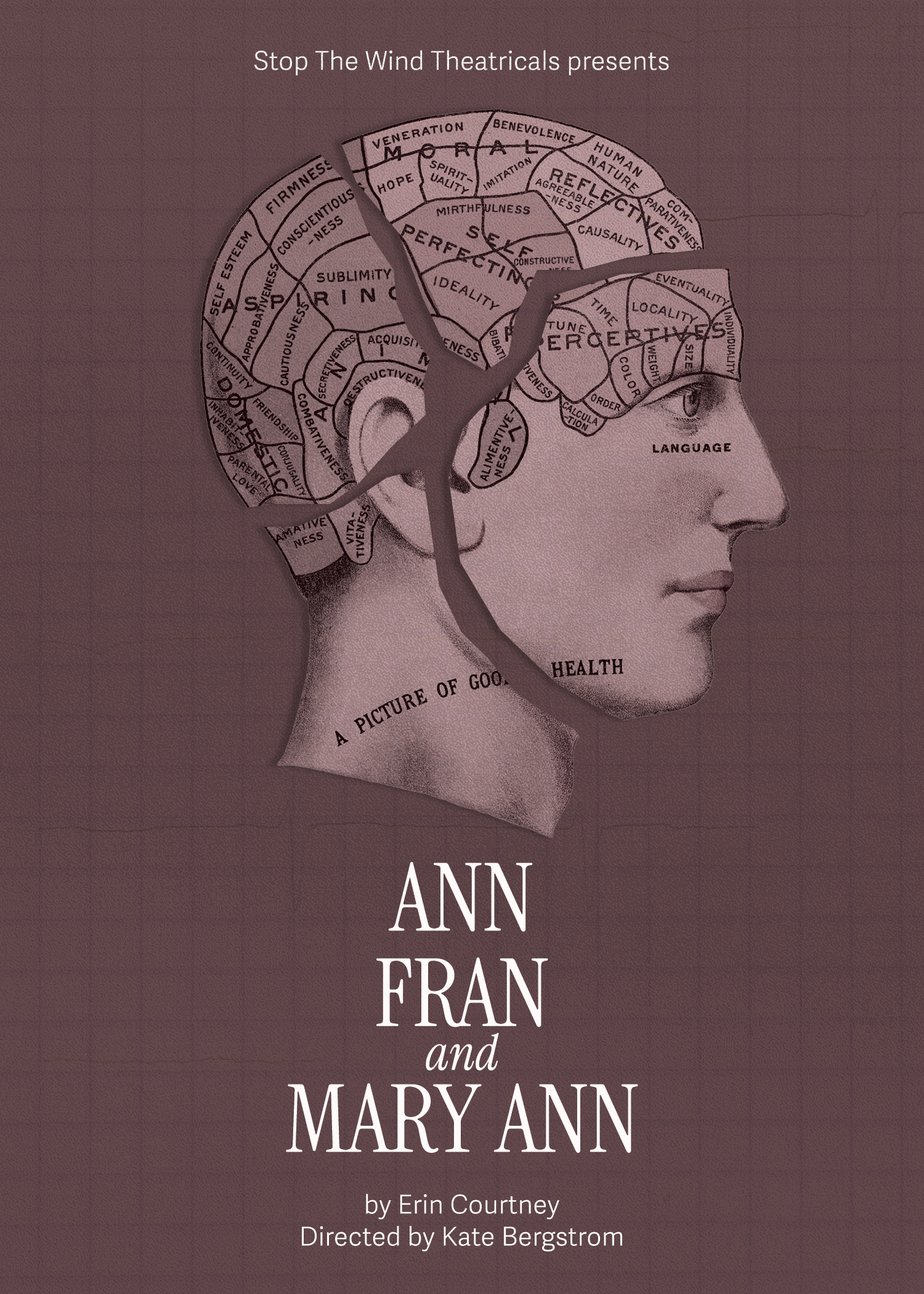 Stop the Wind Theatricals presents ANN, FRAN AND MARY ANN By Erin Courtney
