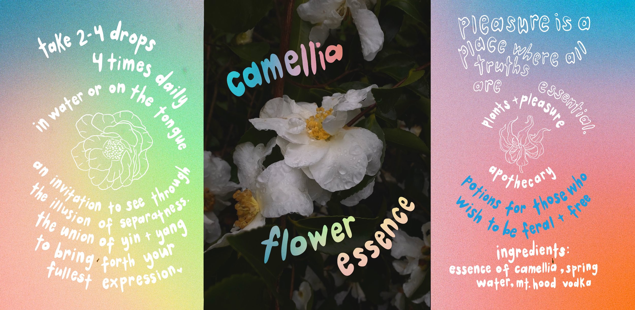 Camellia Flower Essence