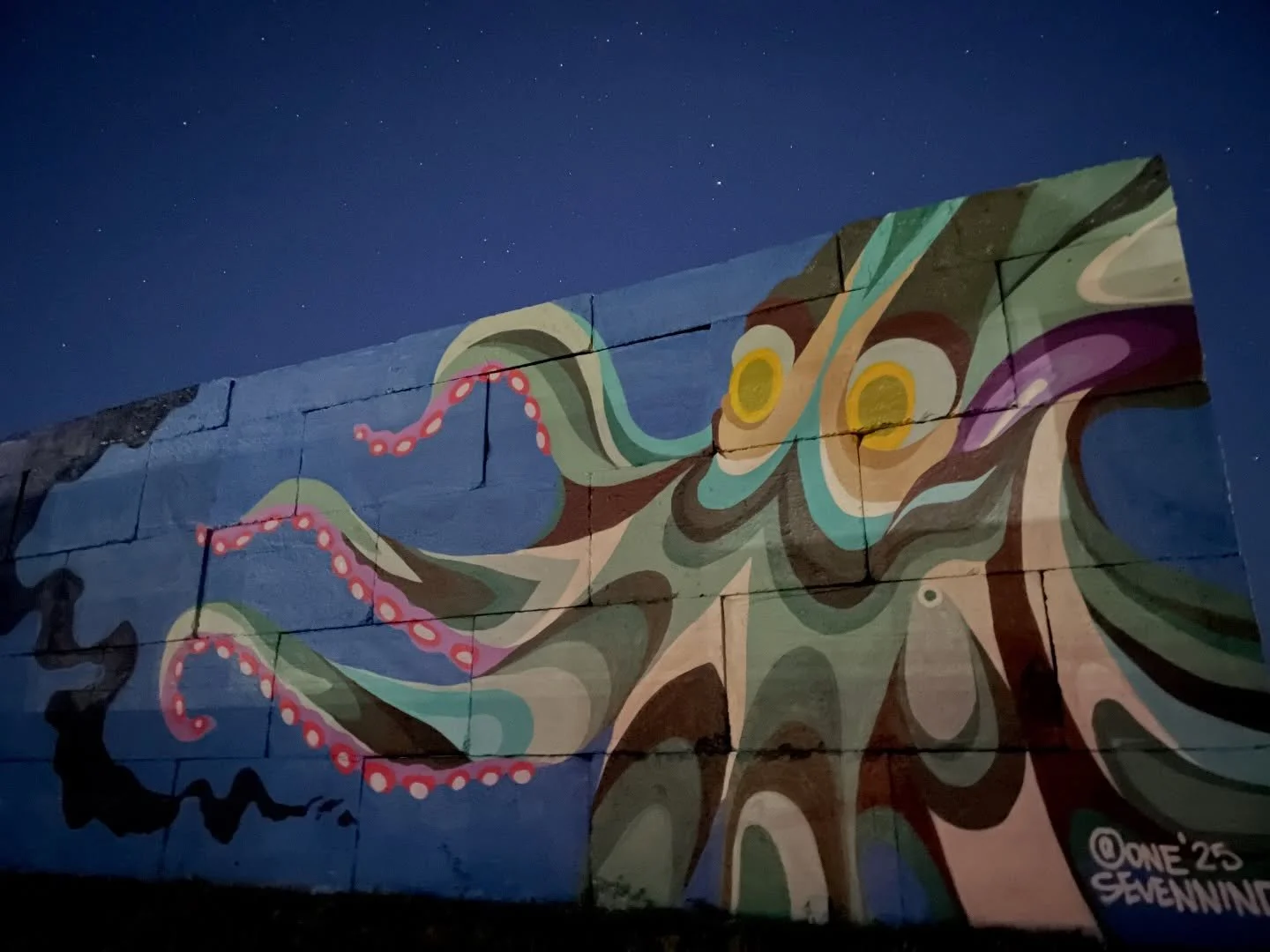 Under a starry night earlier this year. 
Photo by @bbuerke142 

#Onesevennine #shop179 #seattleartist seattlemuralist