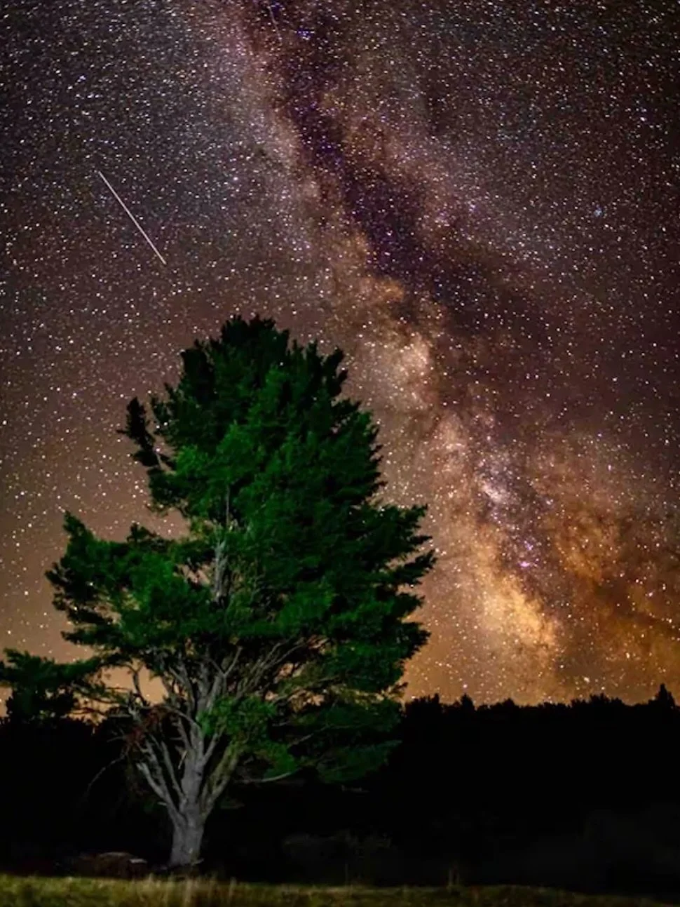 Some stargazing shots from our guests! 🔭