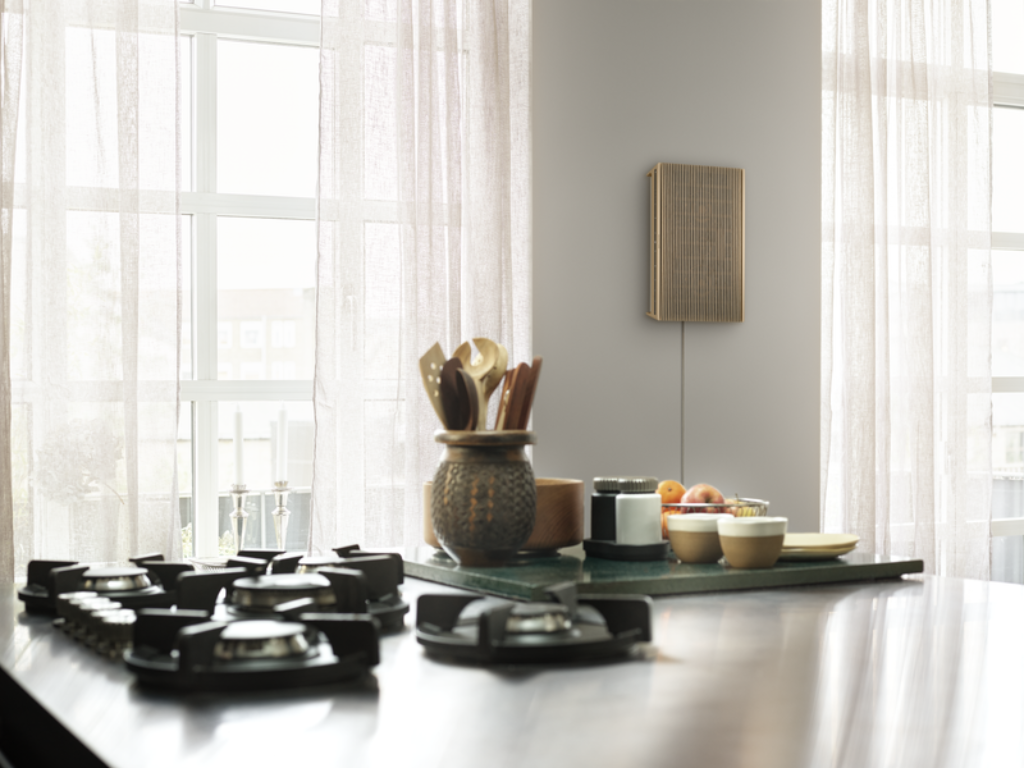 B&O Level Portable Speaker — SoundLab