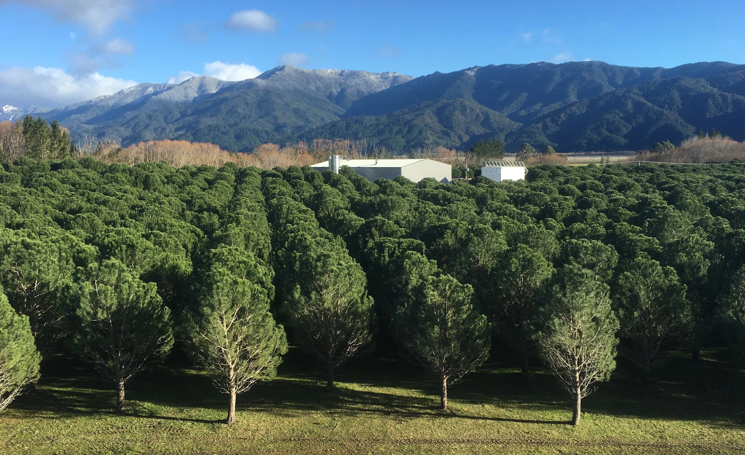 Food control plan and national programme registration