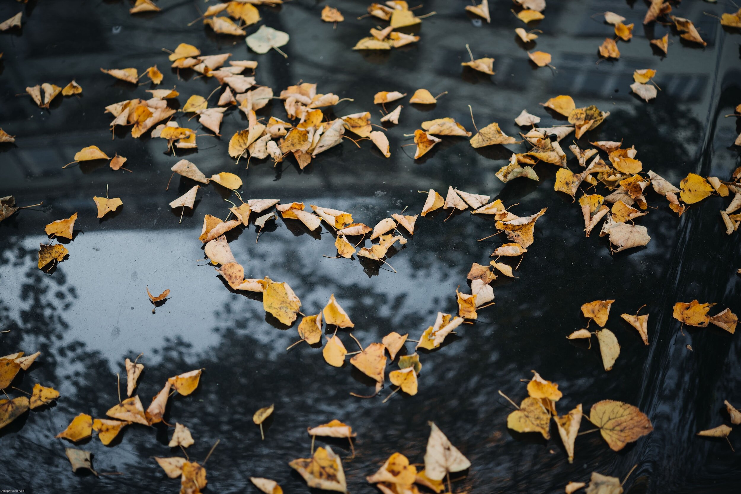 Choosing Love over Fear in Relationships