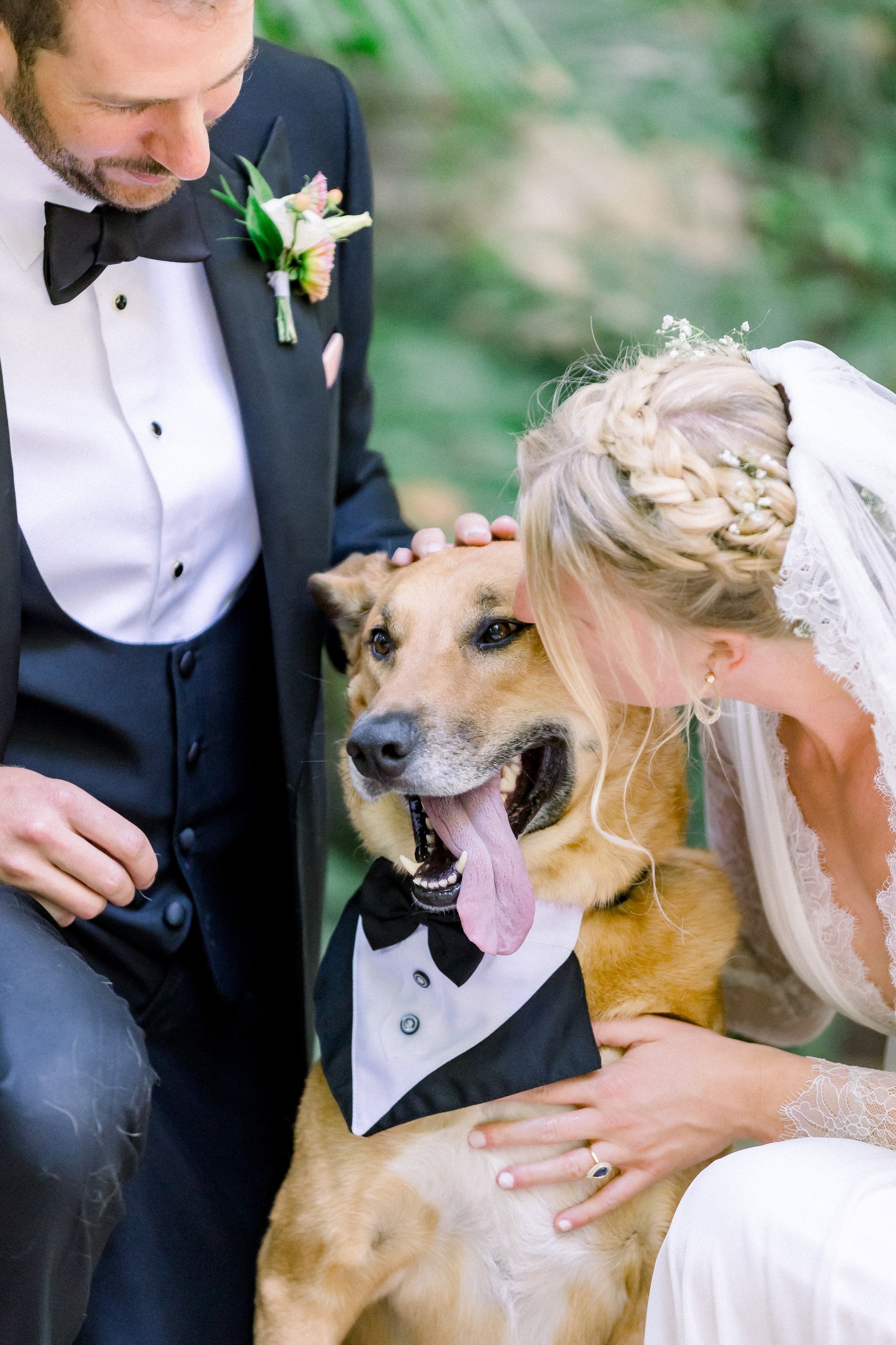 bride and groom include their dog in their wedding day photos