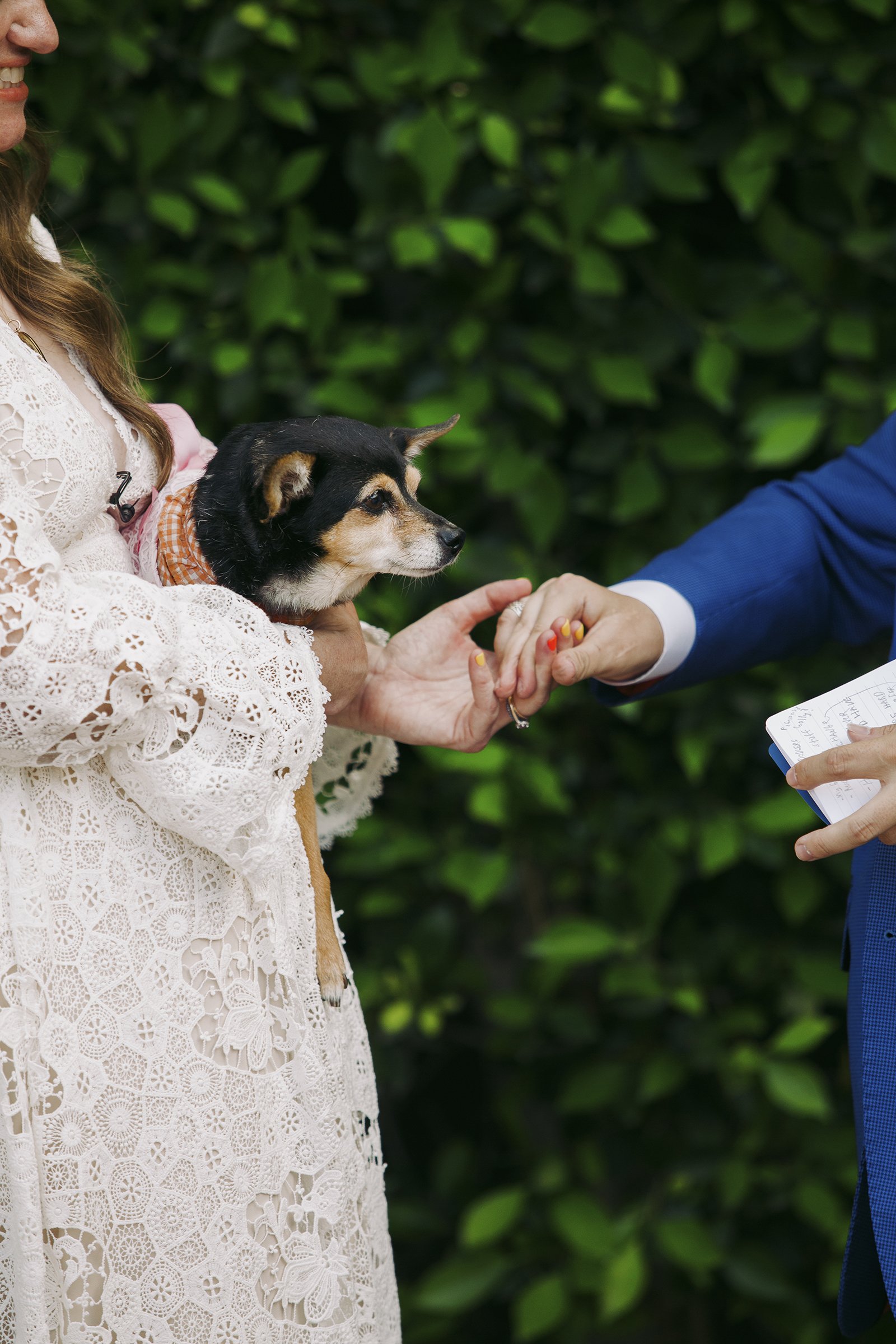 couple have their dog be a part of their wedding ceremony