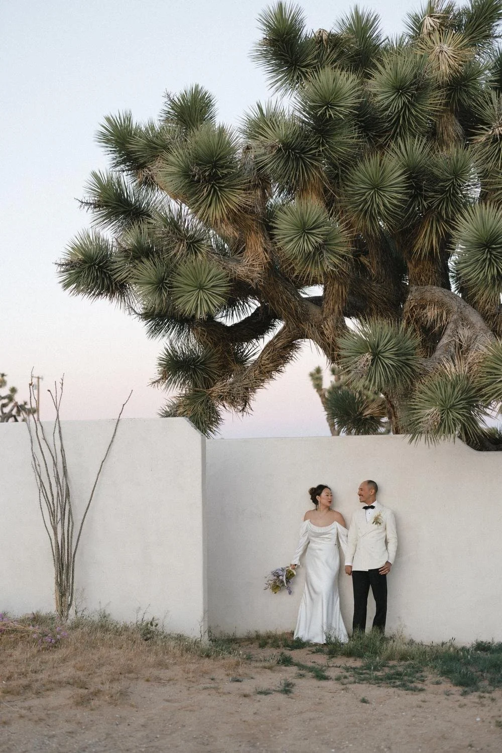 joshua tree wedding in the desert