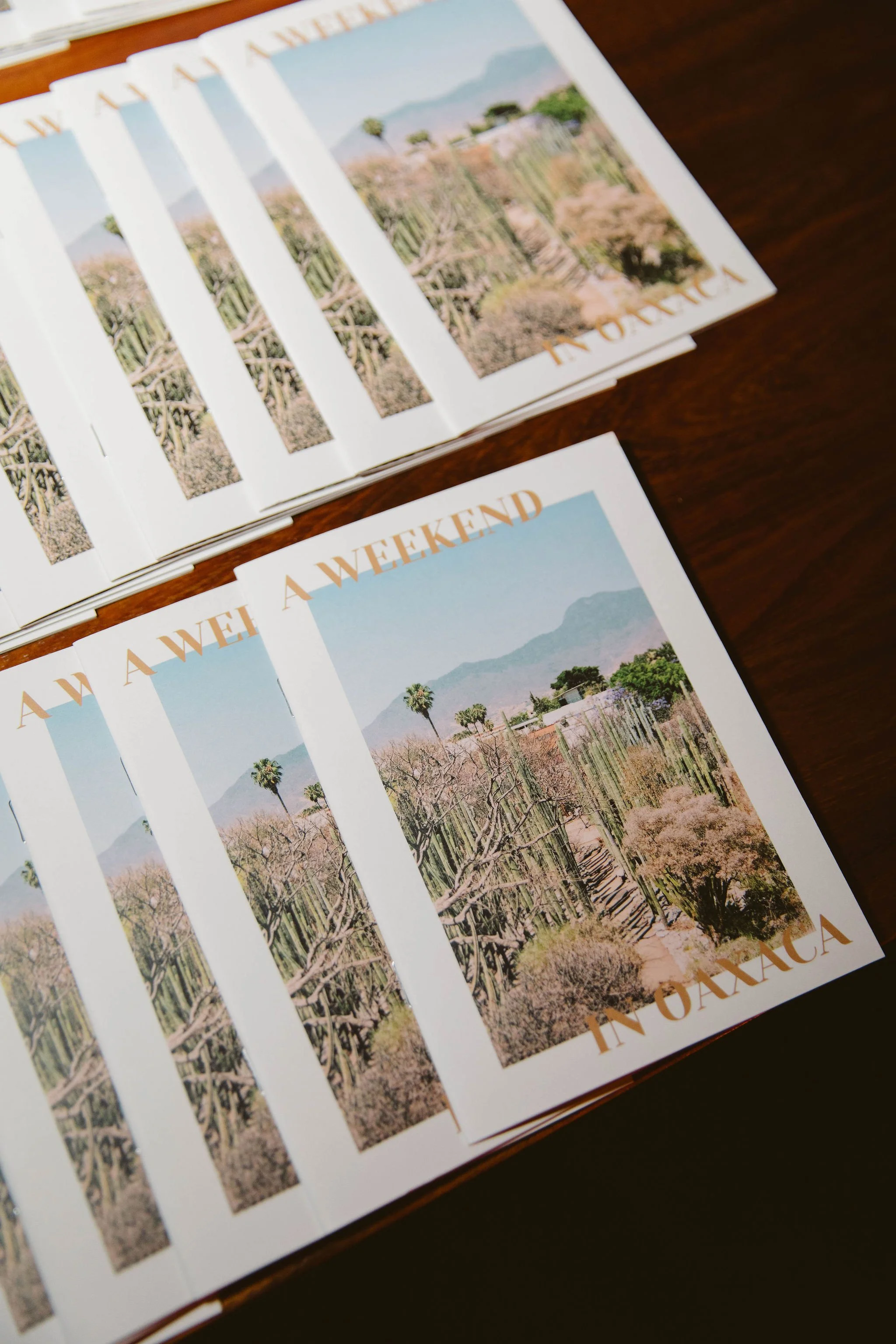 oaxaca, mexico destination wedding for los angeles local couple