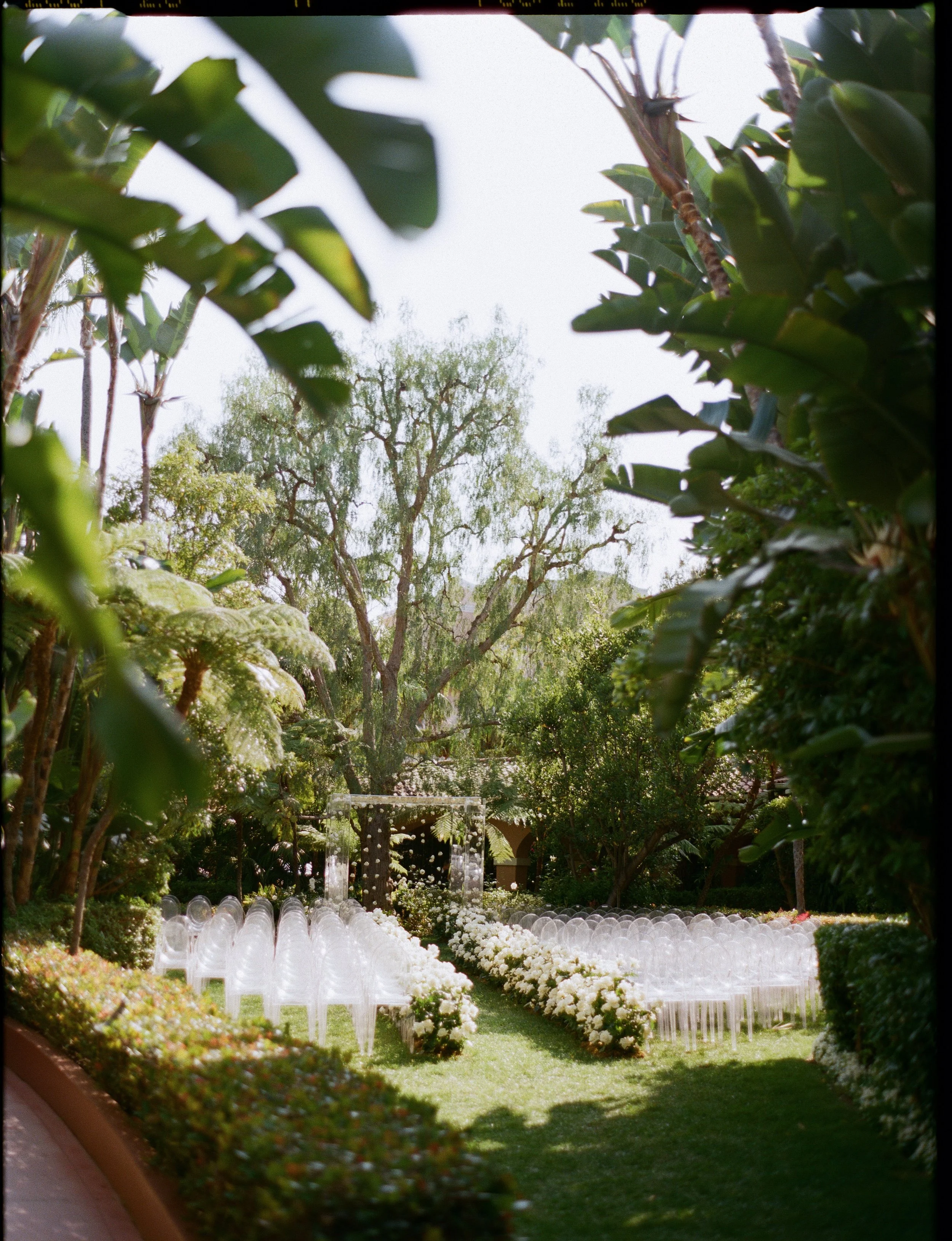 the beverly hills hotel was a gorgeous venue site for this classic summer wedding