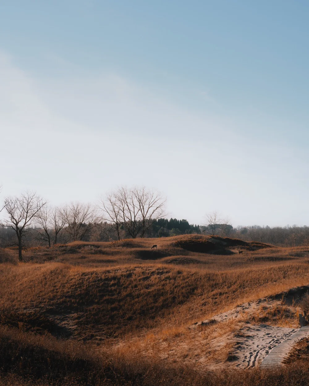 Jamal Morton — Milwaukee Photographer