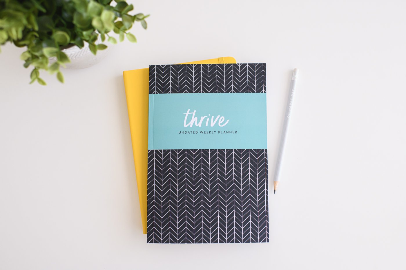 Web-Thrive-1.jpg