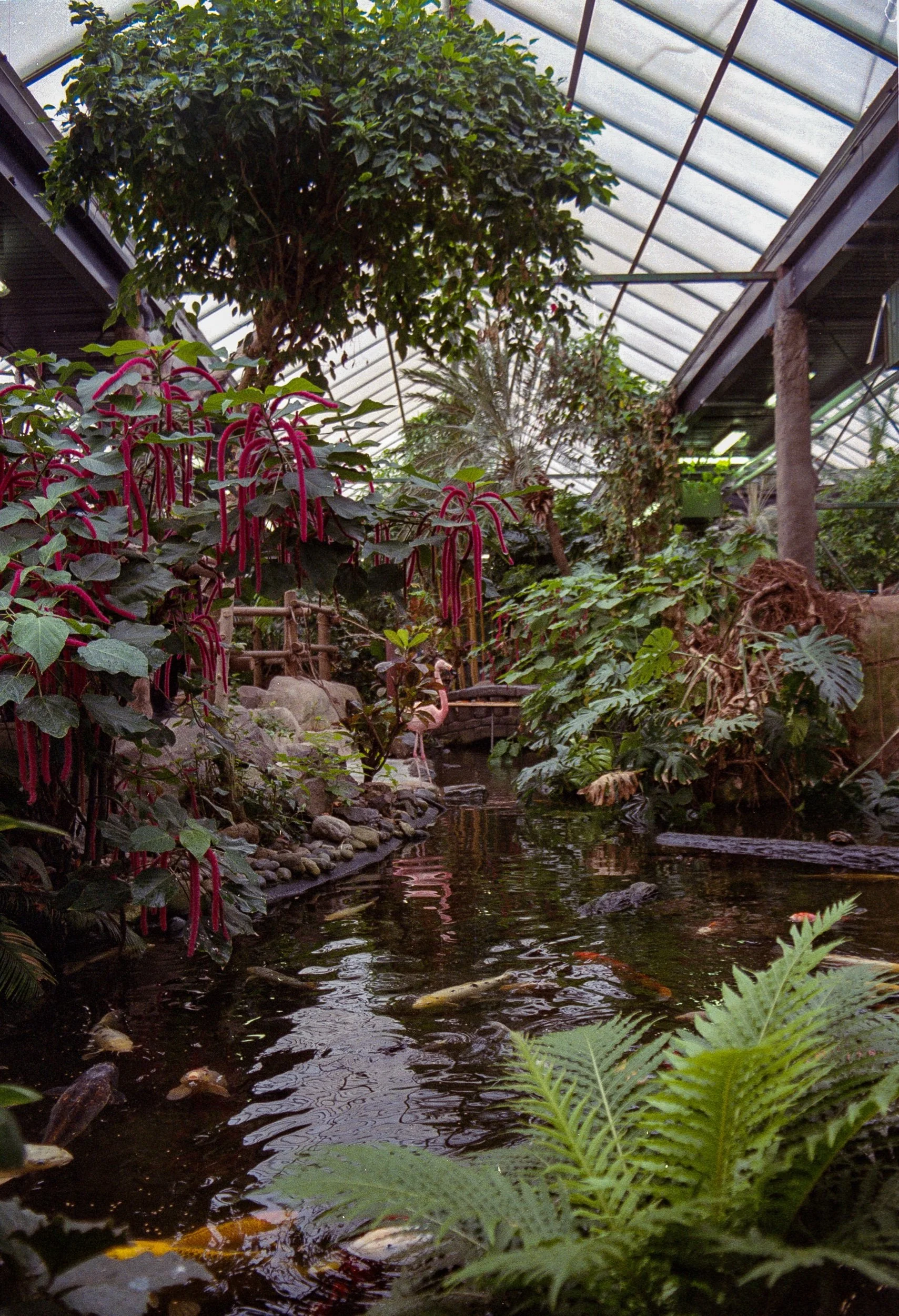 fuji 400 march 2023 - 33.jpeg