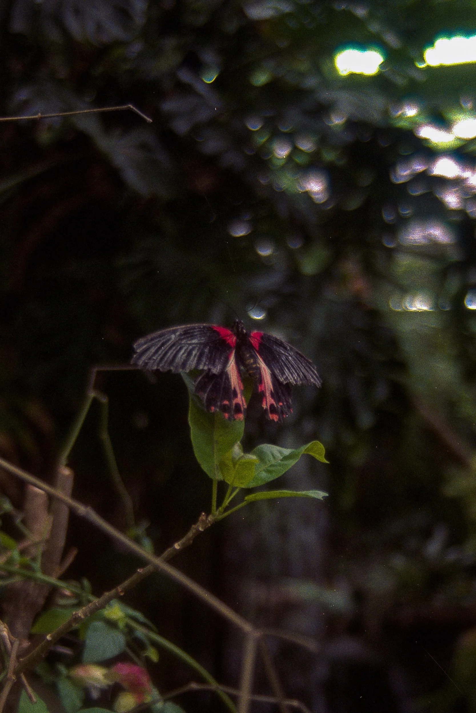 fuji 400 march 2023 - 27.jpeg