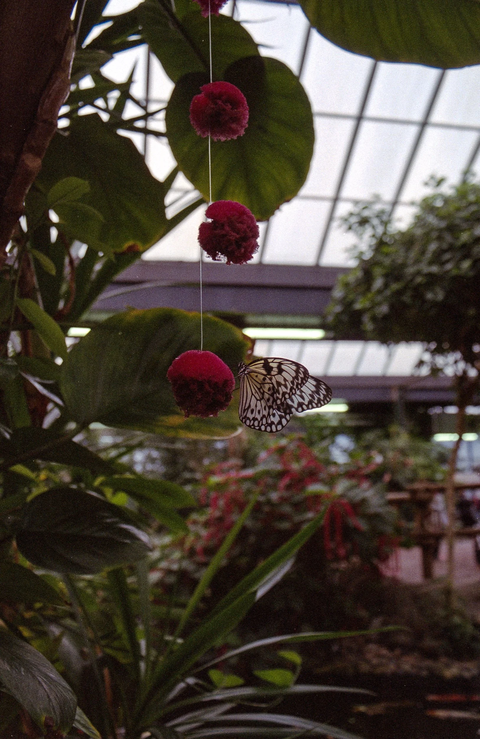 fuji 400 march 2023 - 32.jpeg