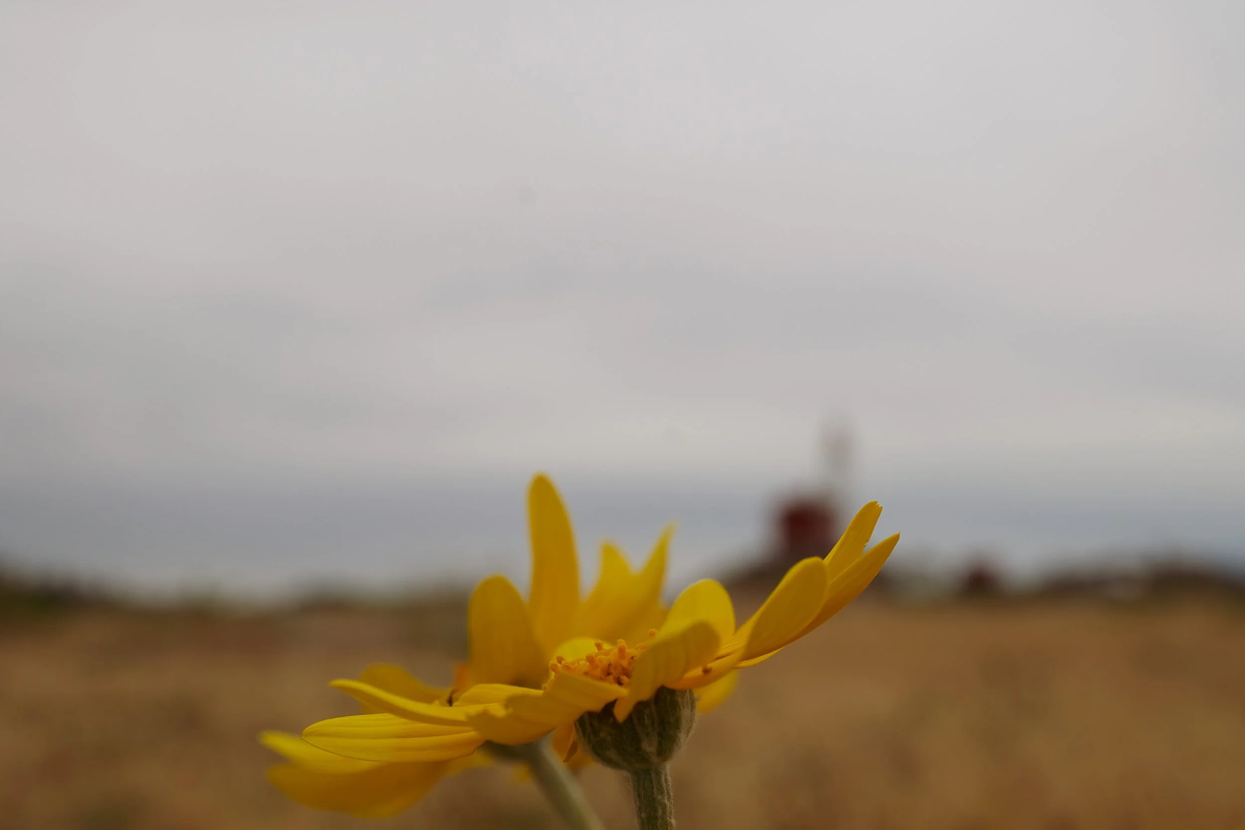 814FFEAD-2C6C-4D53-8E79-F54E5AD33C71.jpeg