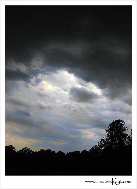 2009 - Thunder Brew