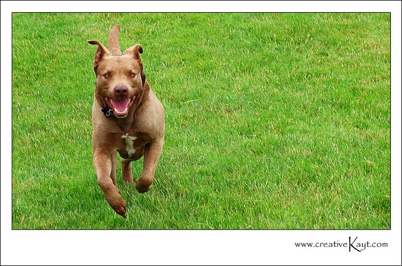 2009 - Rocky Run