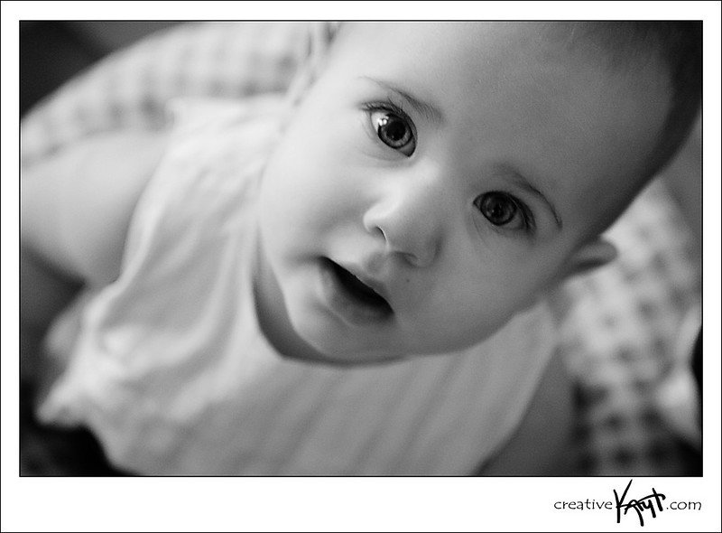 2010 - SIB'Ro Anytime Shot