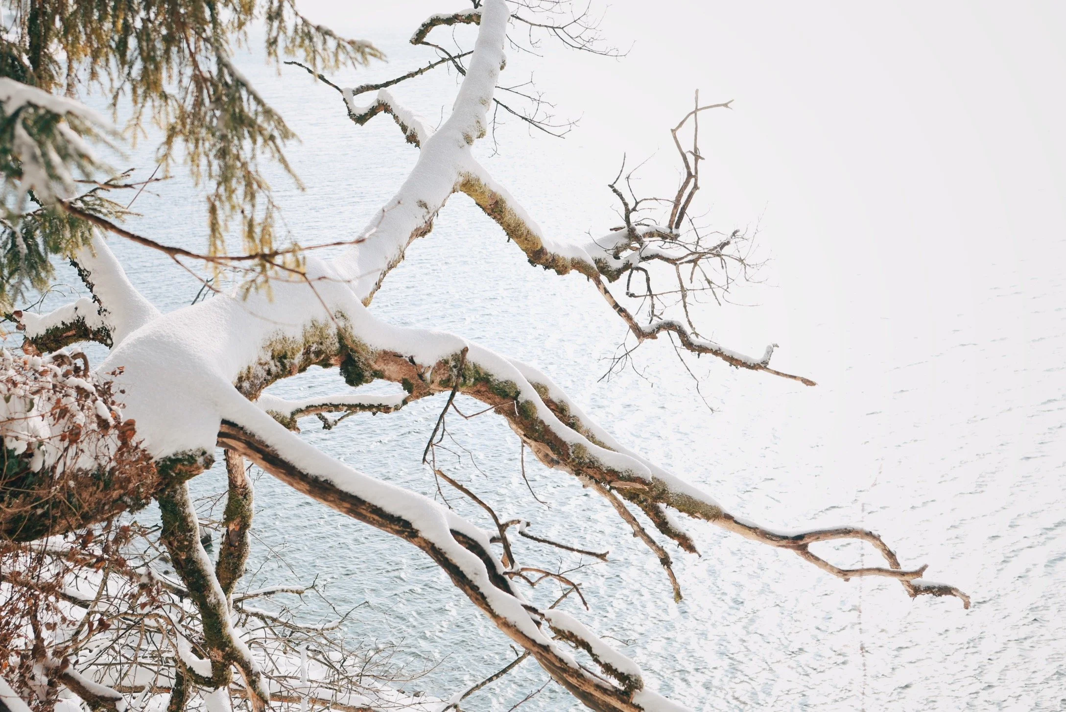 881A0159_VSCO.jpeg
