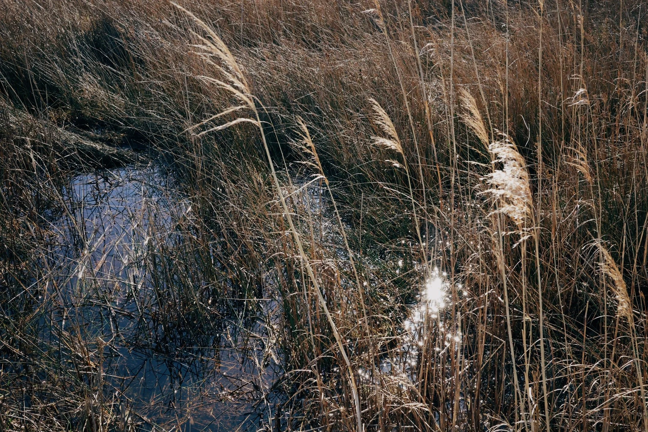 881A3193_VSCO.jpeg