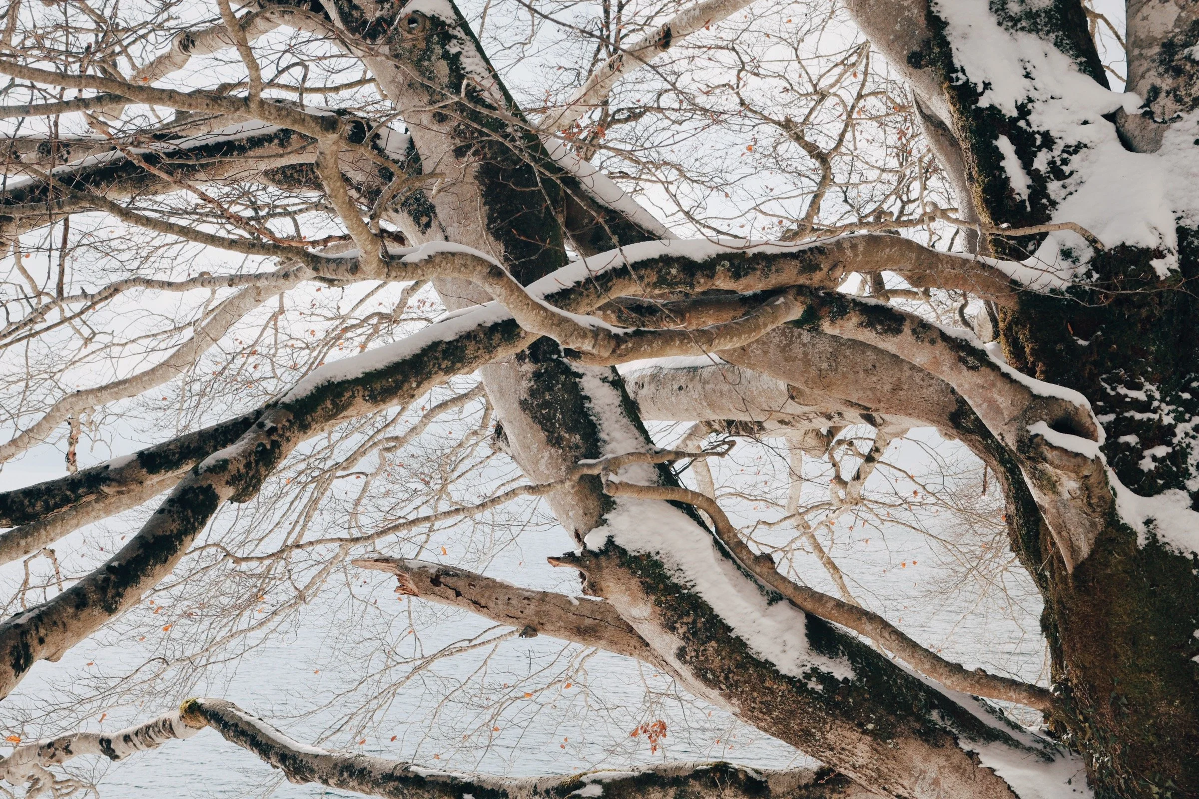 881A0224_VSCO.jpeg