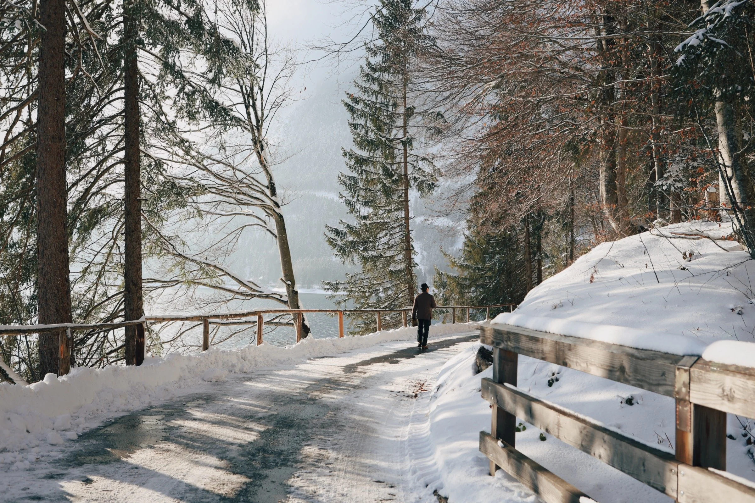 881A0237_VSCO.jpeg