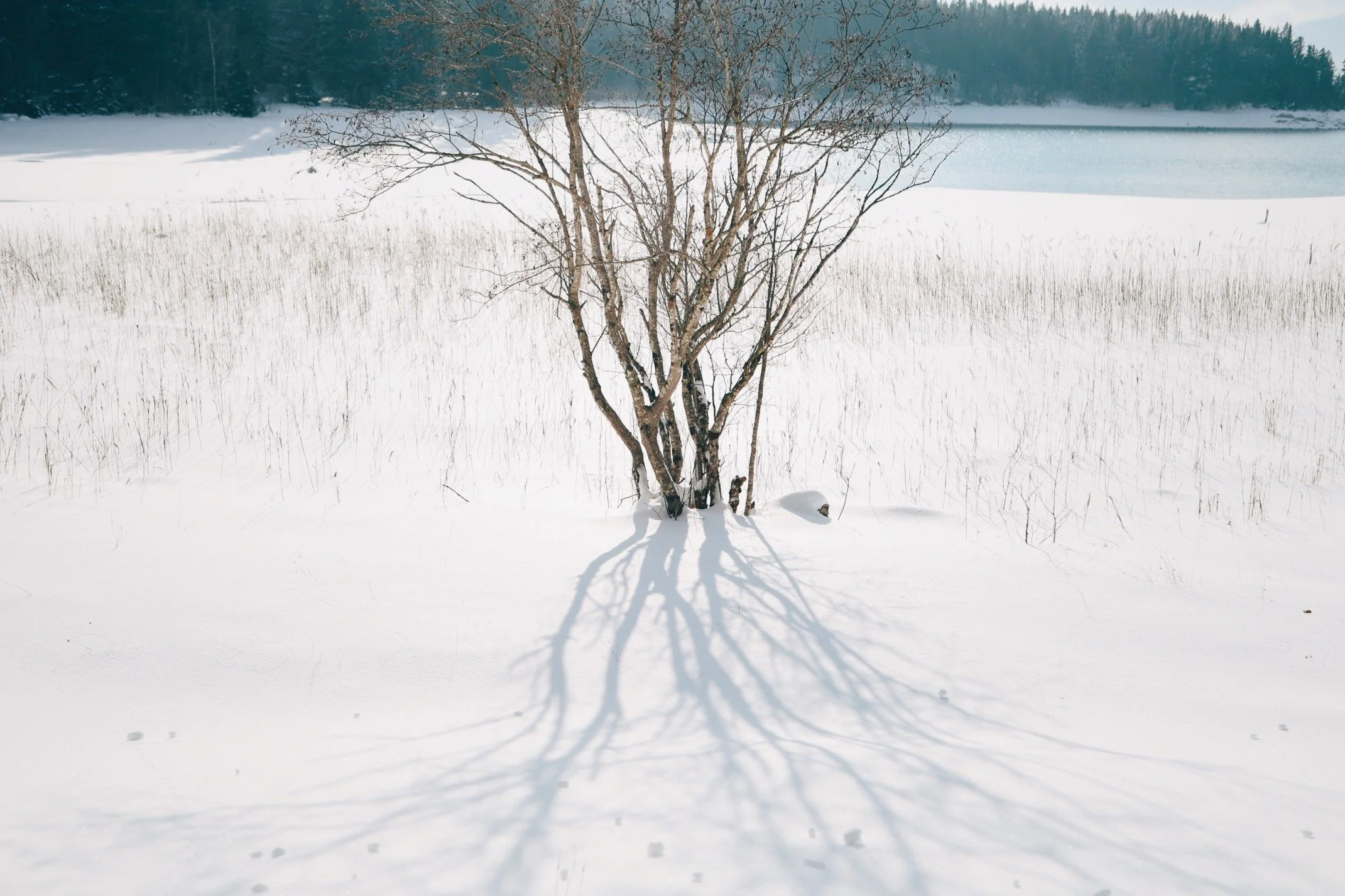 FullSizeRender_VSCO.jpeg