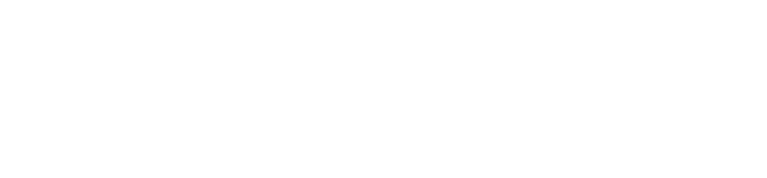 Newton Energy Solutions - Energy storage for everyone