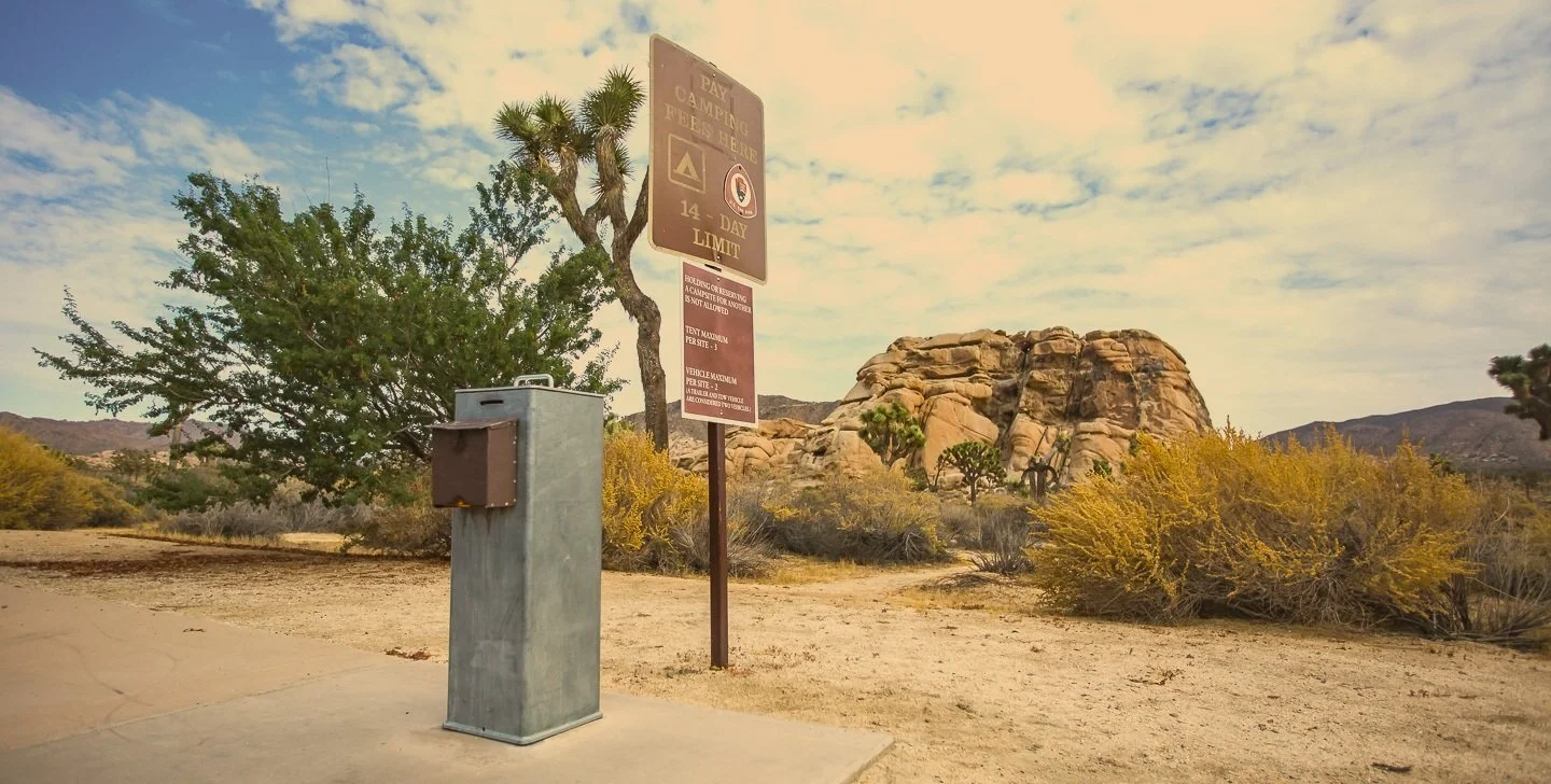 The Best Camping Guide for Joshua Tree, California — Visit Joshua Tree