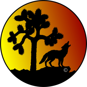 Coyote Corner — Visit Joshua Tree