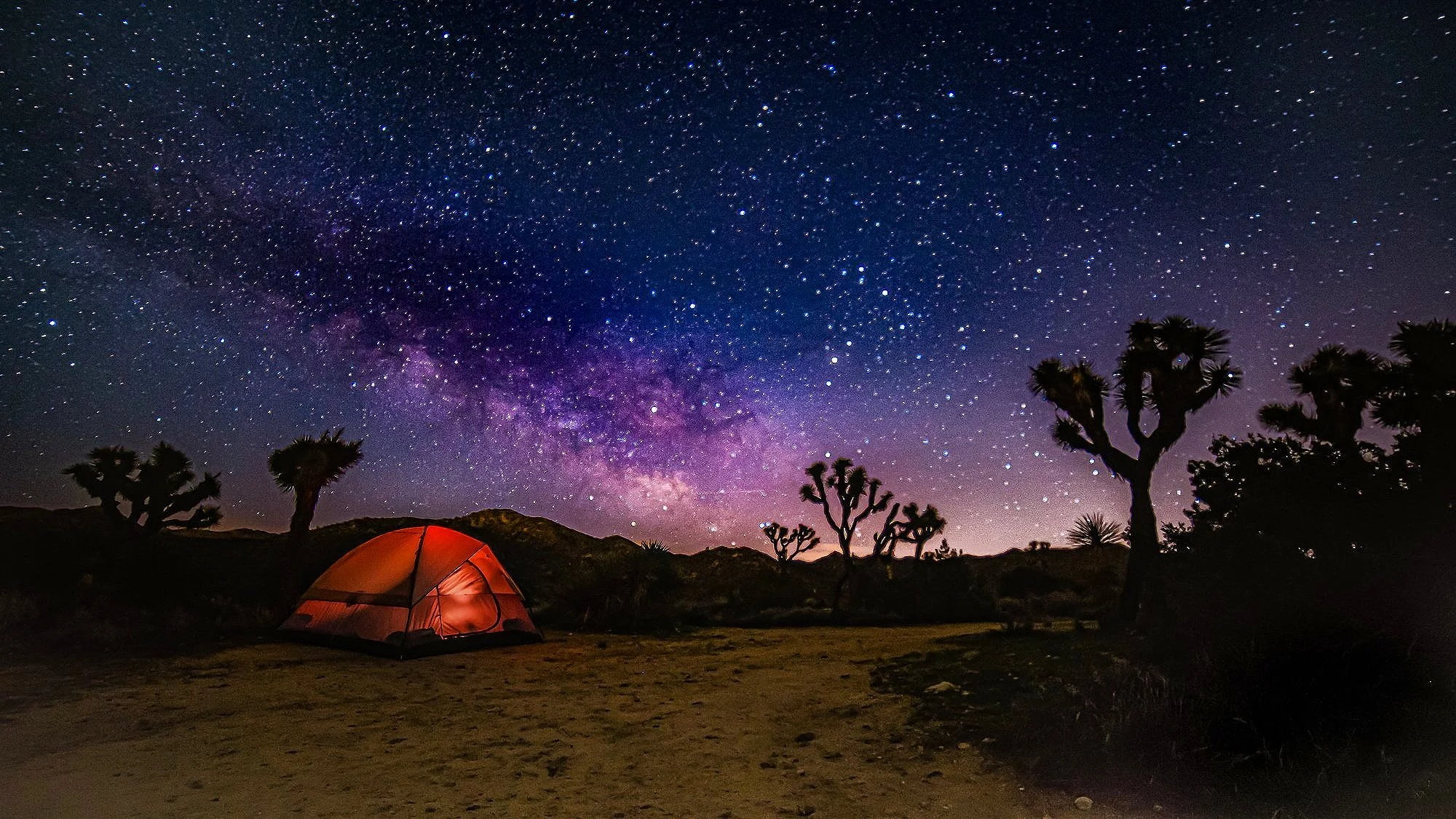 The Best Camping Guide for Joshua Tree, California — Joshua Tree