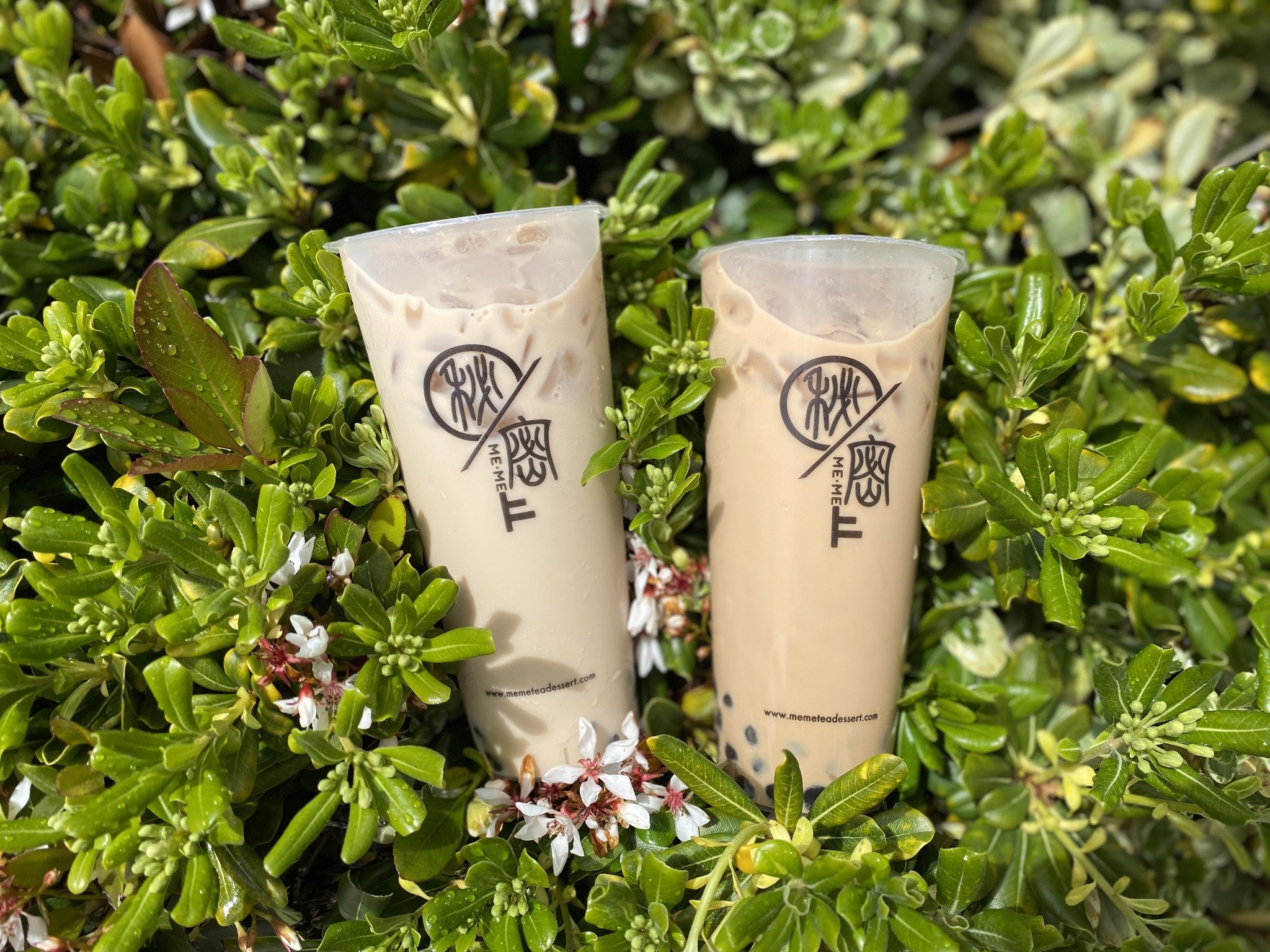 𝙷𝚊𝚙𝚙𝚢 𝙴𝚊𝚛𝚝𝚑 𝙳𝚊𝚢🌎

(Pictured: Longan Honey Jasmine Milk Tea &amp; Okinawa Milk Tea)

‼️OPEN DAILY AT 8:30AM!⏰ Closed Tuesdays
🔑Happiness starts with Me&middot;Me
📱Link in bio to order online!

#SupportLocal #supportlocalsandiego #famil