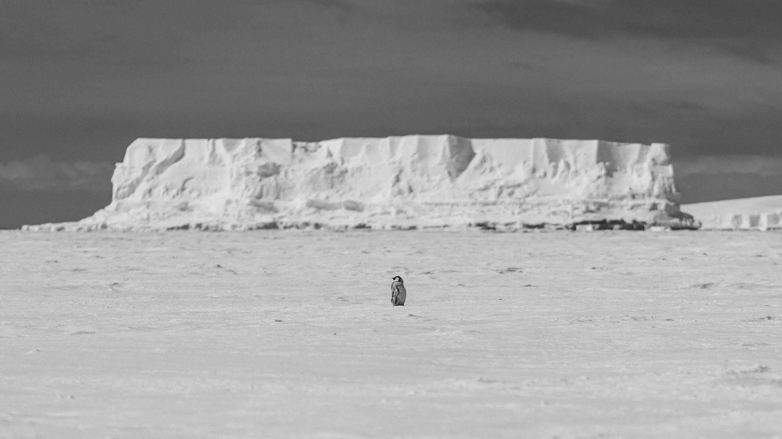 DSC09875.jpeg