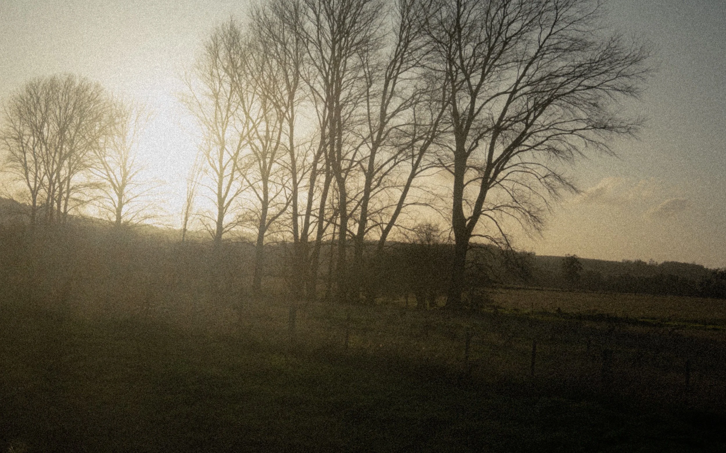 IMG_4166.jpeg