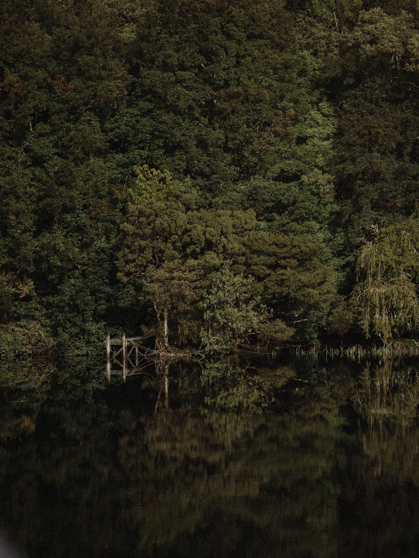 XLVIII / CCCLXV nature poem for 
September nineteenth 

On Esthwaite Water
VERSES 1-5

O&rsquo;er Esthwaite&rsquo;s lake, serene and still, 
At sunset&rsquo;s silent peaceful hour
Scarce moved the zephy&rsquo;s softest breath, 
Or sighed along its re