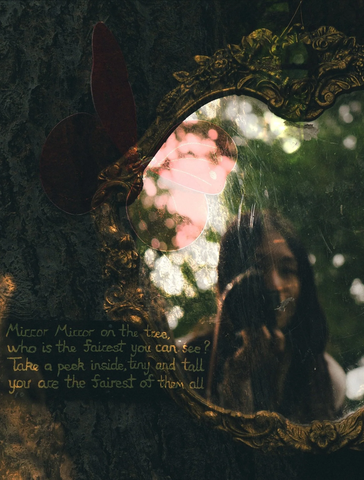 Once upon a December, I got myself lost in this place called the enchanted forest, with gentle footsteps rustling on leaves, listening to the birds singing above, near &amp; far, their echoes pathed my way, but I didn&rsquo;t know what I was searchin