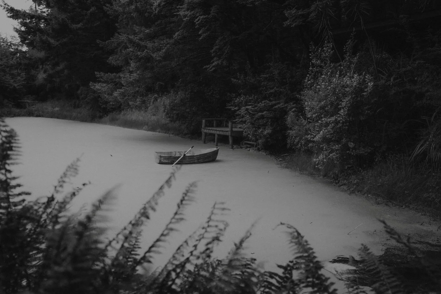 Washpen Falls p a r t. I I ~ in landscape 

where my heart &amp; my soul, 
longing
the wonders &amp; mysterious 
woods, trees, rocks, cave,

before the
f a l l s

#nature #walkintheforest #quietinthewild #art #photographyisart