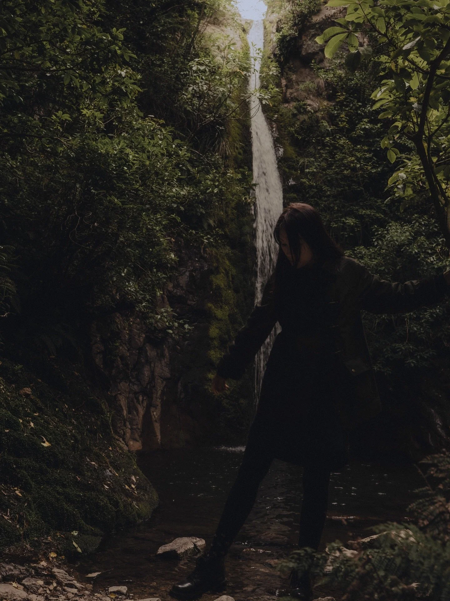 A true story, a rare post, a little dedication.

~ last photo: the guard&rsquo;s place <3

#thankyou #life #nature #light #photographyislife