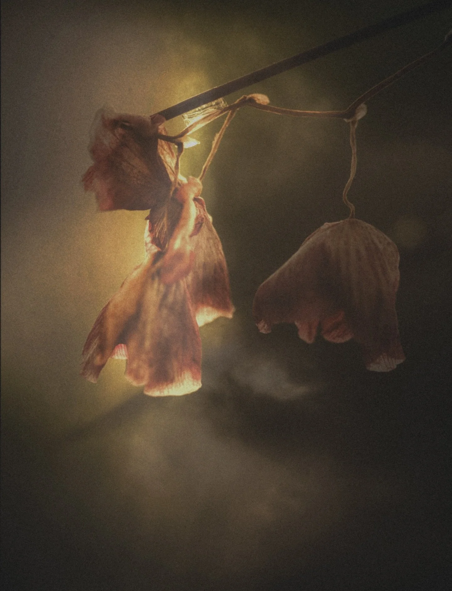 The light, mostly seen from my cosy room. One sun, one moon, an infinity sky, same view, but plenty of mood and dramatic moments. Day. Night. The art of noticing, the art of nature.

First two are composites of two exposures, blended together for dep