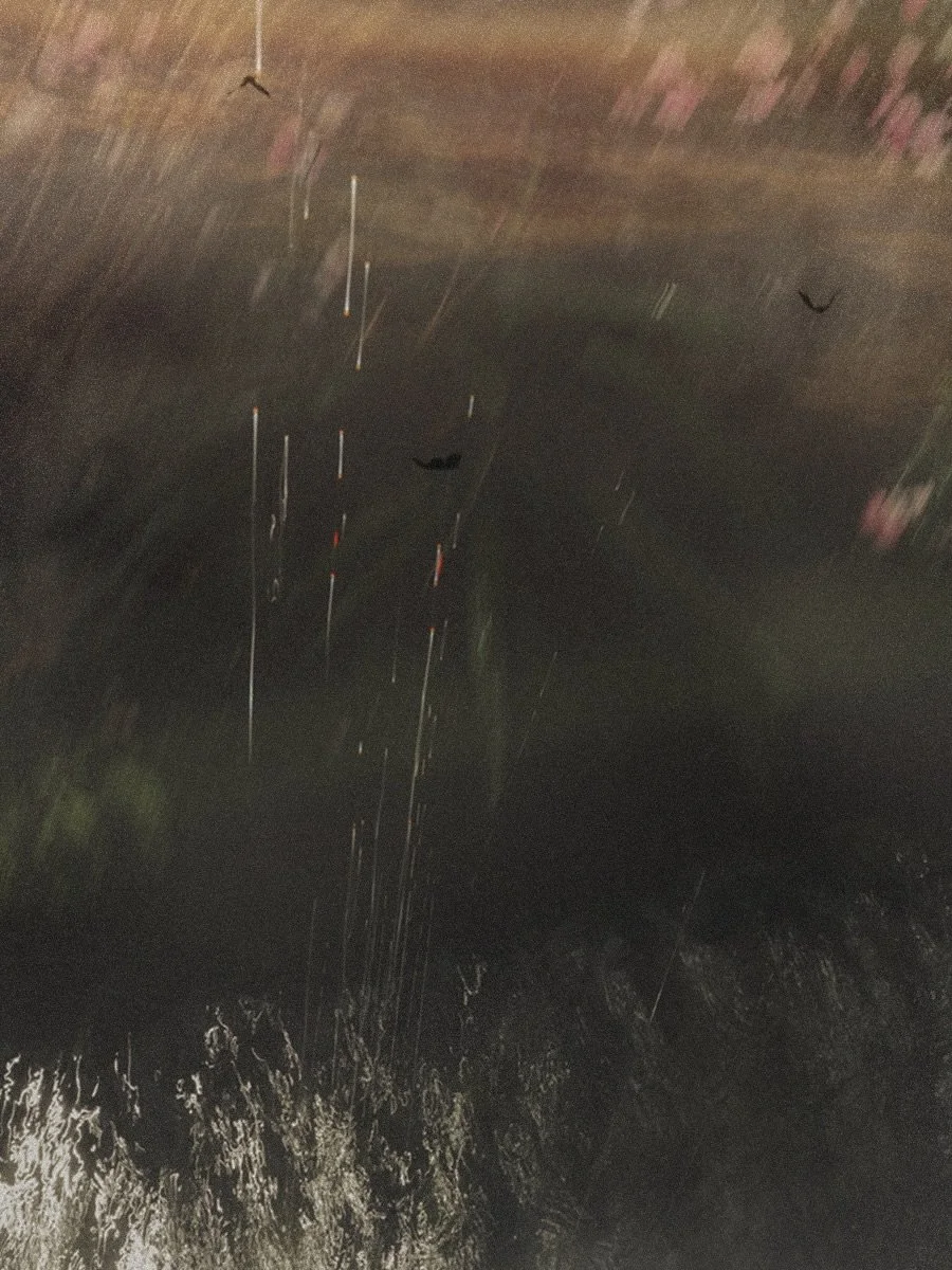 Impression ~ HARMONY I ~
{Set I} v; birds &amp; water

~ when the birds glide 
with the current of water 

Fifth piece |
~ three fragments 

HARMONY series will see through natural elements coming together as one 🤍 (Each set will contain eleven main