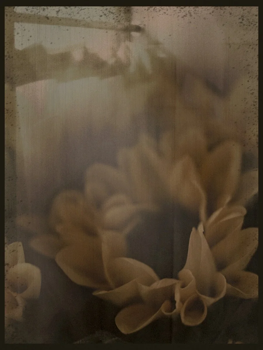 Impression ~ ANALOGY I ~
{Set I} ii; sun (in) emotion

~ one monochrome 
~ two fragments

ANALOGY series will see through deep connections between different life abstracts forming a familiar narrative in life elements coming together as one 🤍 (Each 