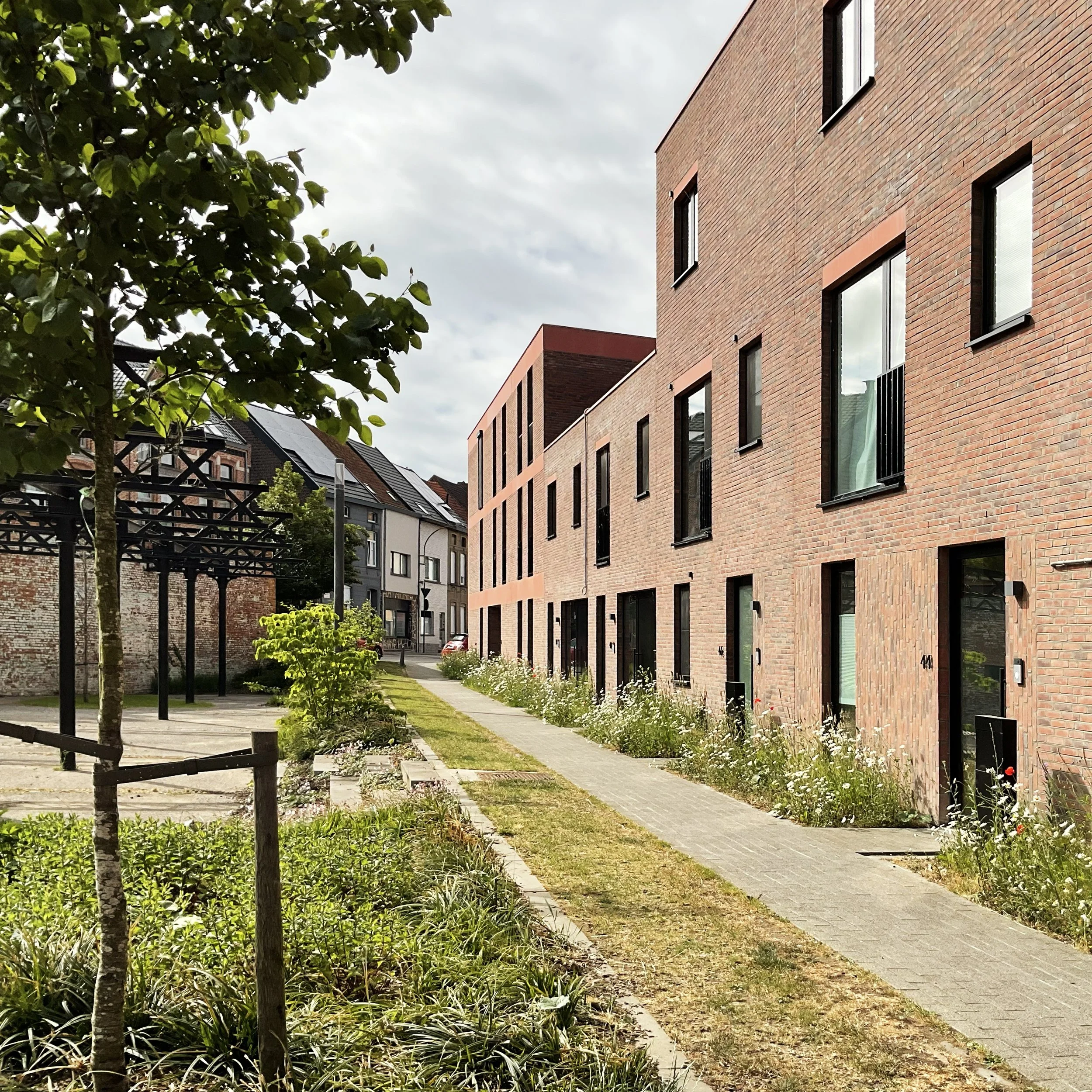 townhouses with  articulated façades