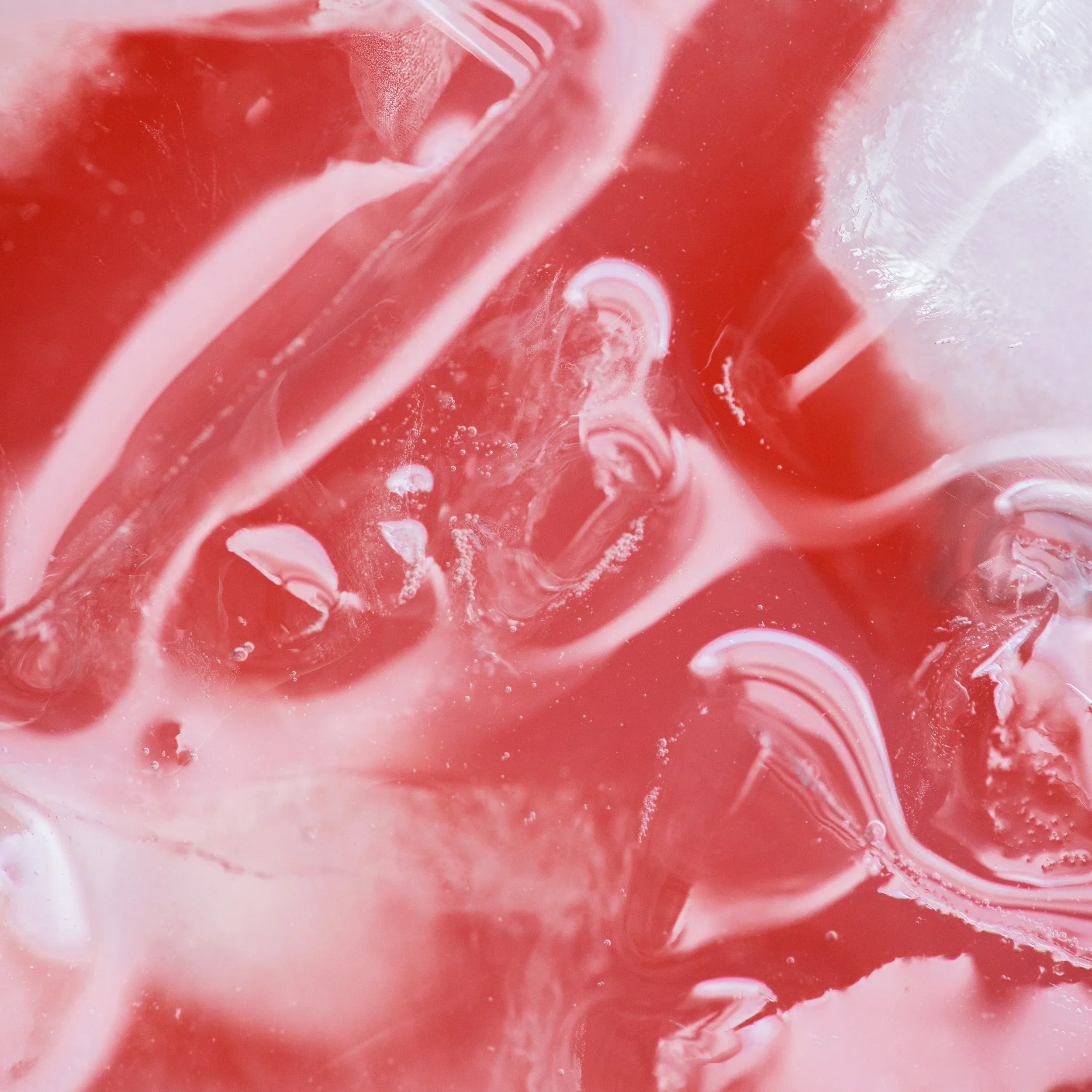 SCO_May_Blueberry+Macro_01.webp