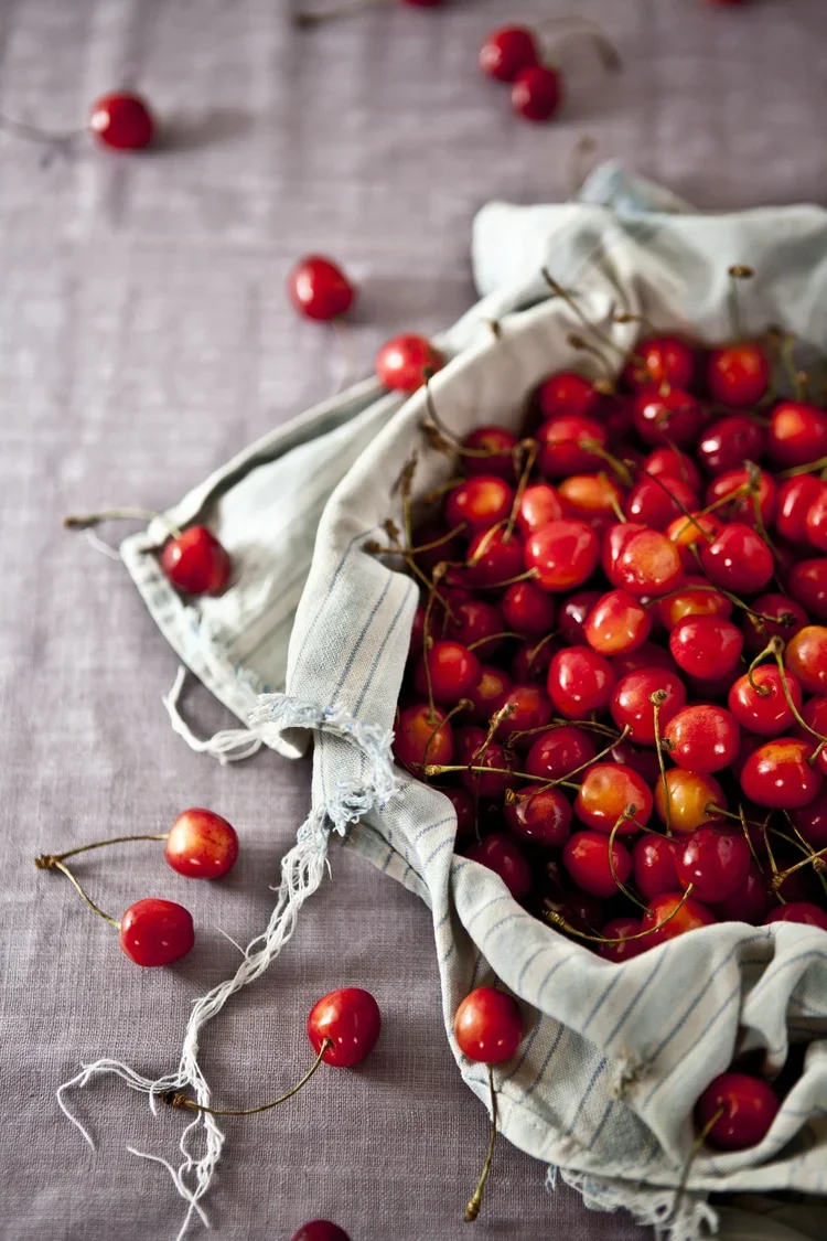 cherry+neha-deshmukh-GoKXJaQoLQs-unsplash.webp