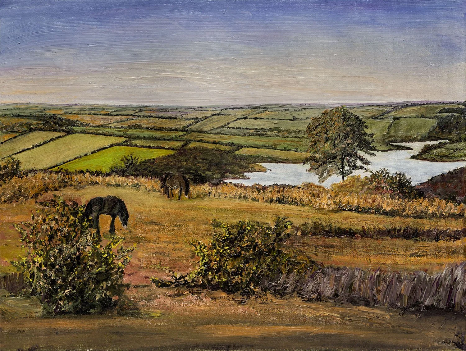 Lake Wimbleball, Exmoor