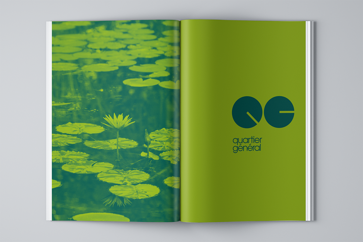 QG — project image 5