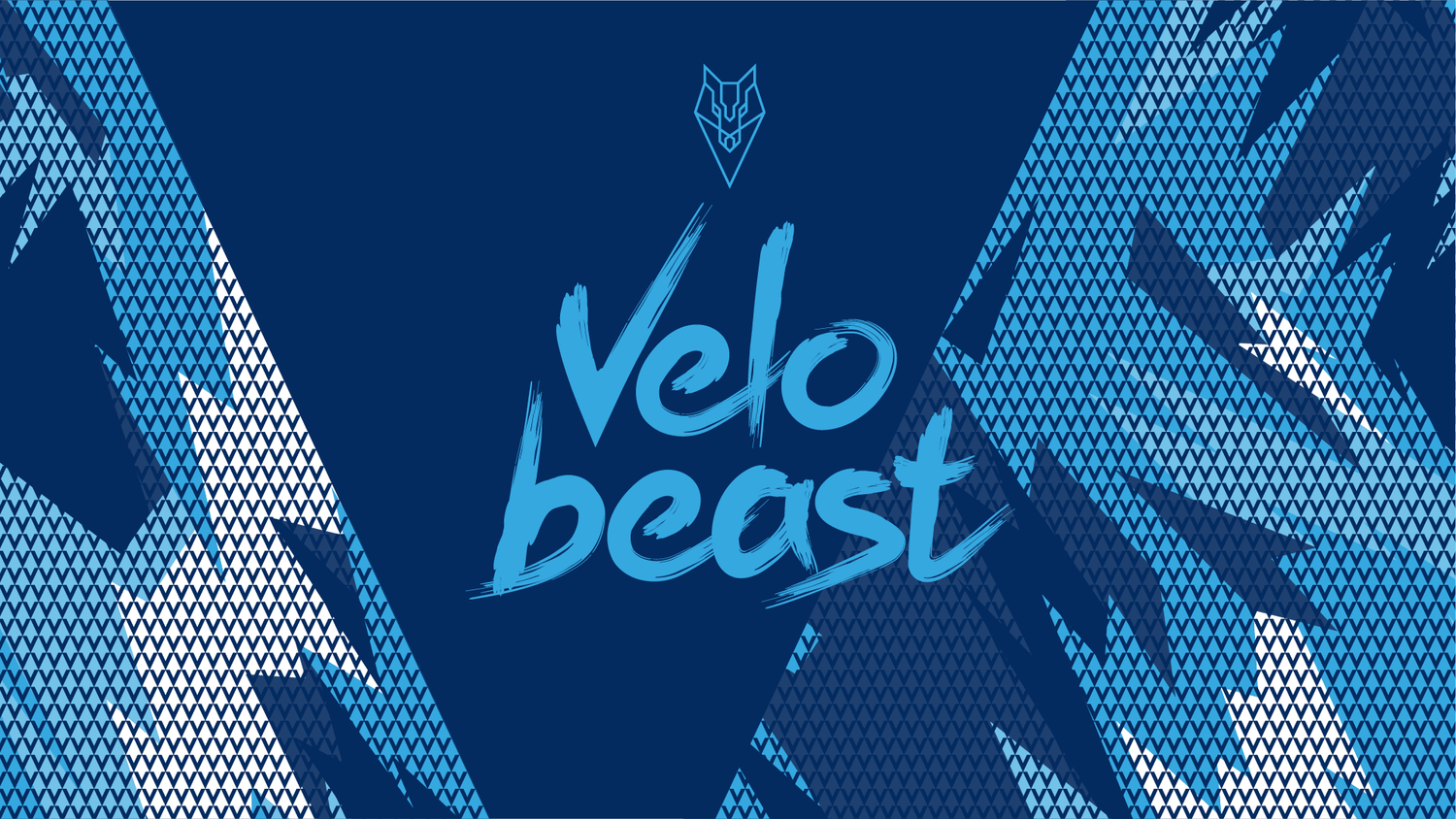 Velobeast — project image 1