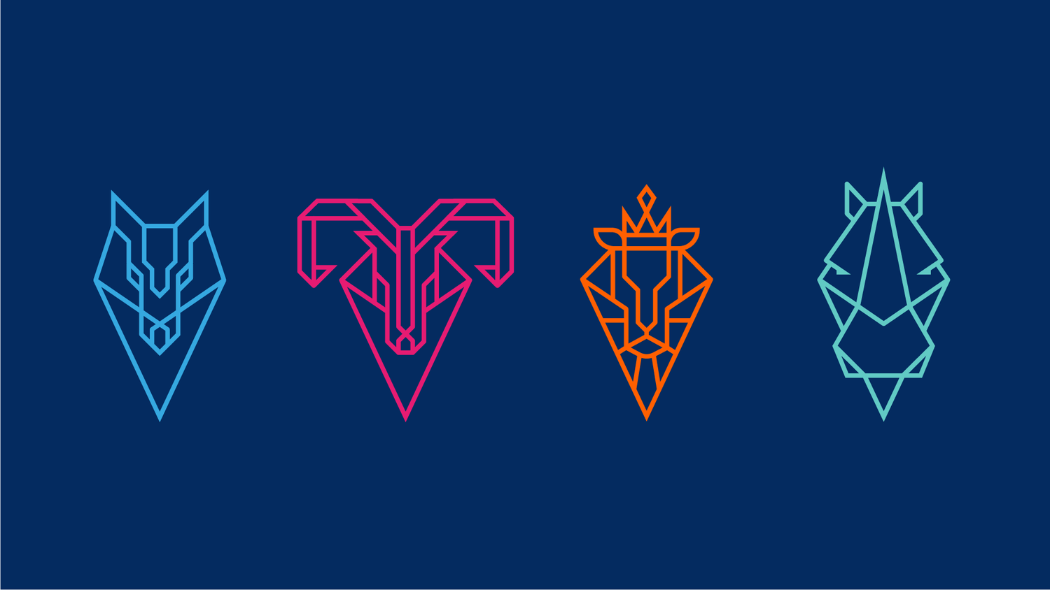 Velobeast — project image 12